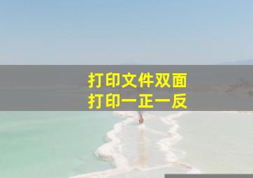 打印文件双面打印一正一反