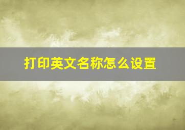 打印英文名称怎么设置