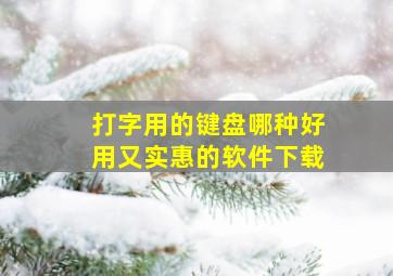 打字用的键盘哪种好用又实惠的软件下载