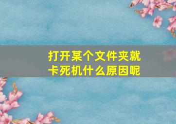 打开某个文件夹就卡死机什么原因呢