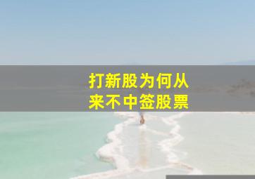 打新股为何从来不中签股票