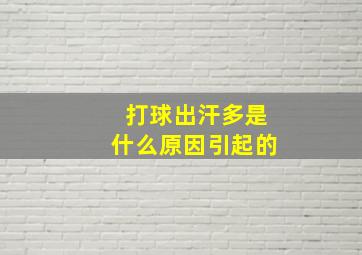 打球出汗多是什么原因引起的