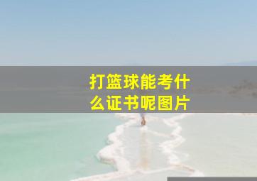 打篮球能考什么证书呢图片