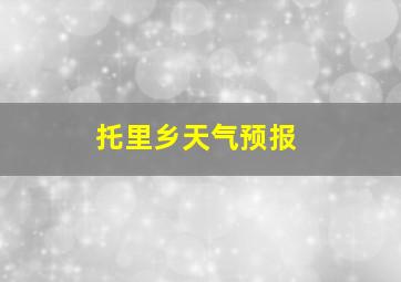 托里乡天气预报