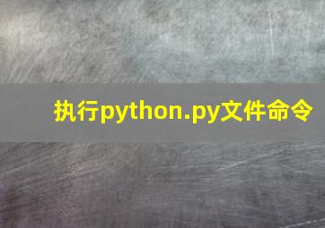 执行python.py文件命令