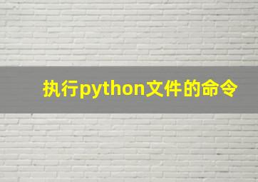 执行python文件的命令