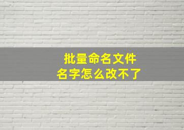 批量命名文件名字怎么改不了