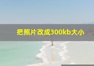 把照片改成300kb大小