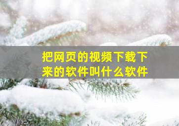 把网页的视频下载下来的软件叫什么软件