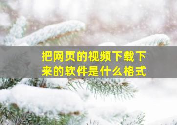 把网页的视频下载下来的软件是什么格式