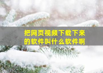 把网页视频下载下来的软件叫什么软件啊