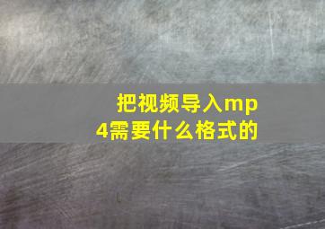 把视频导入mp4需要什么格式的