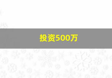 投资500万