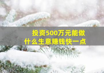 投资500万元能做什么生意赚钱快一点