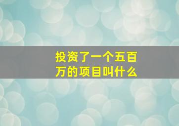 投资了一个五百万的项目叫什么