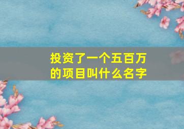 投资了一个五百万的项目叫什么名字