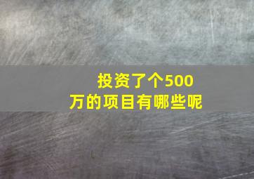 投资了个500万的项目有哪些呢