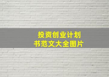 投资创业计划书范文大全图片