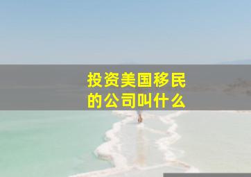 投资美国移民的公司叫什么