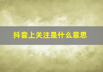 抖音上关注是什么意思