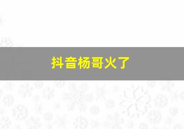 抖音杨哥火了