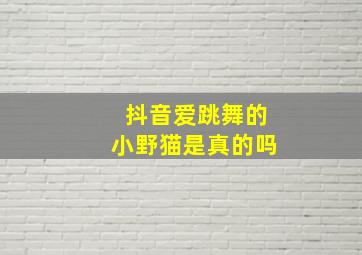 抖音爱跳舞的小野猫是真的吗