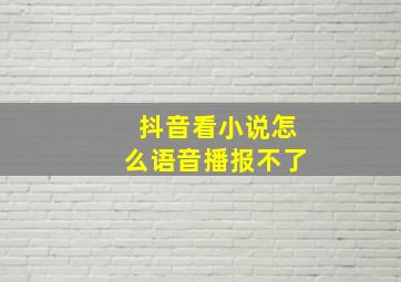 抖音看小说怎么语音播报不了