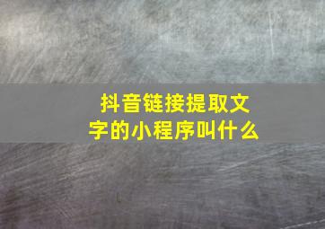 抖音链接提取文字的小程序叫什么