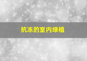 抗冻的室内绿植