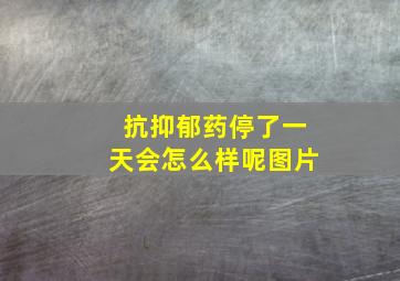 抗抑郁药停了一天会怎么样呢图片