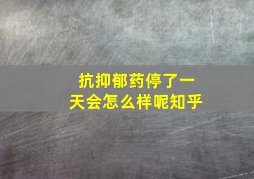 抗抑郁药停了一天会怎么样呢知乎