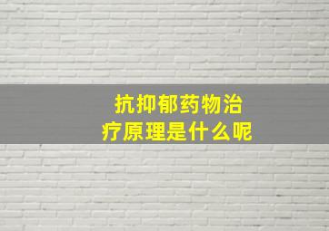 抗抑郁药物治疗原理是什么呢