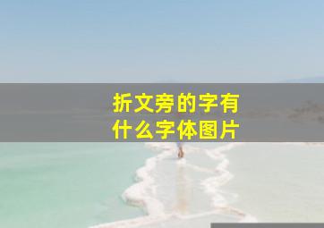 折文旁的字有什么字体图片