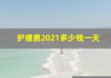 护理费2021多少钱一天