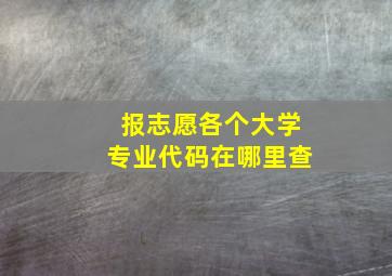 报志愿各个大学专业代码在哪里查