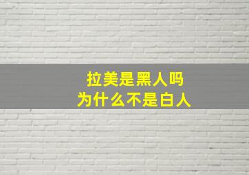 拉美是黑人吗为什么不是白人