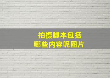 拍摄脚本包括哪些内容呢图片