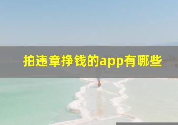 拍违章挣钱的app有哪些