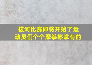 拔河比赛即将开始了运动员们个个摩拳擦掌有的