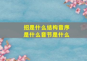 招是什么结构音序是什么音节是什么