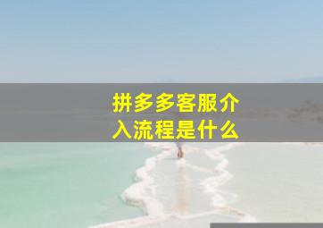 拼多多客服介入流程是什么