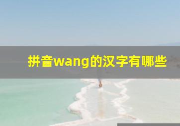 拼音wang的汉字有哪些