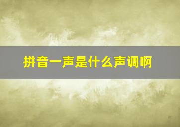 拼音一声是什么声调啊