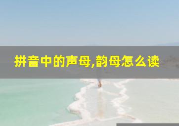 拼音中的声母,韵母怎么读