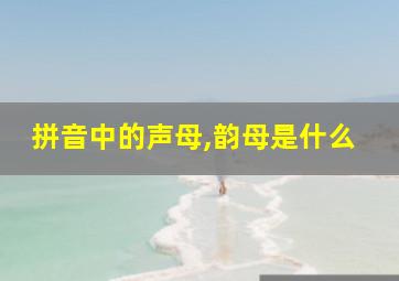 拼音中的声母,韵母是什么