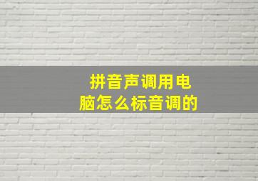 拼音声调用电脑怎么标音调的