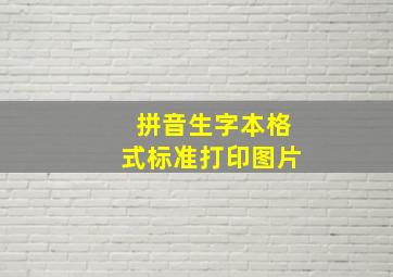 拼音生字本格式标准打印图片