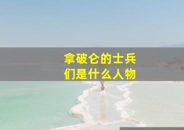 拿破仑的士兵们是什么人物