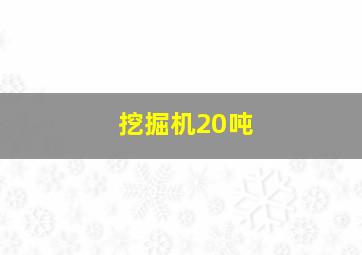 挖掘机20吨