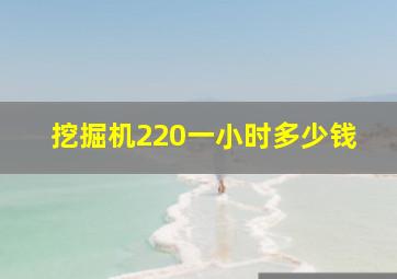 挖掘机220一小时多少钱